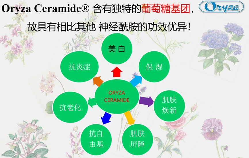 美妆专利∣可以食用的神经酰胺皮肤修复剂